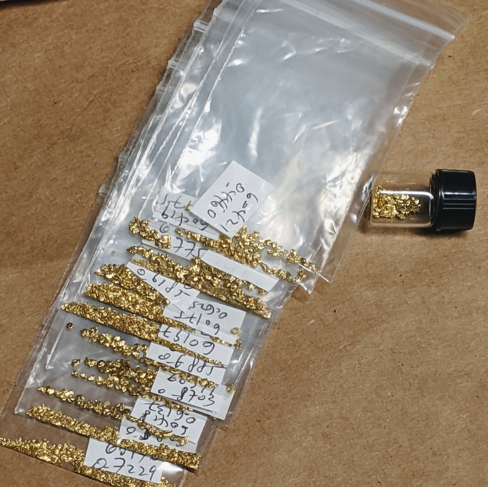22k Gold⭐Alaskan-Raw Nugs⭐10+ Gs💎Jewelers Grade💎